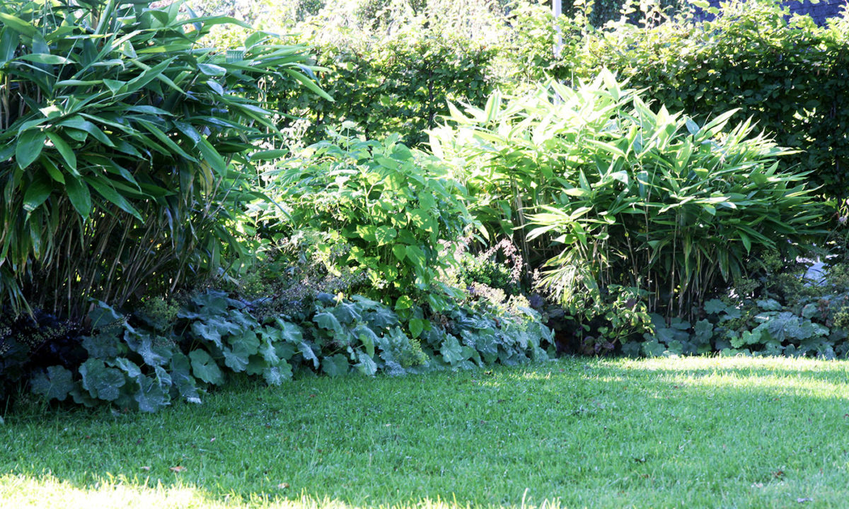 Gartengestaltung - Gartenerneuerung im Wiesbadener Komponistenviertel