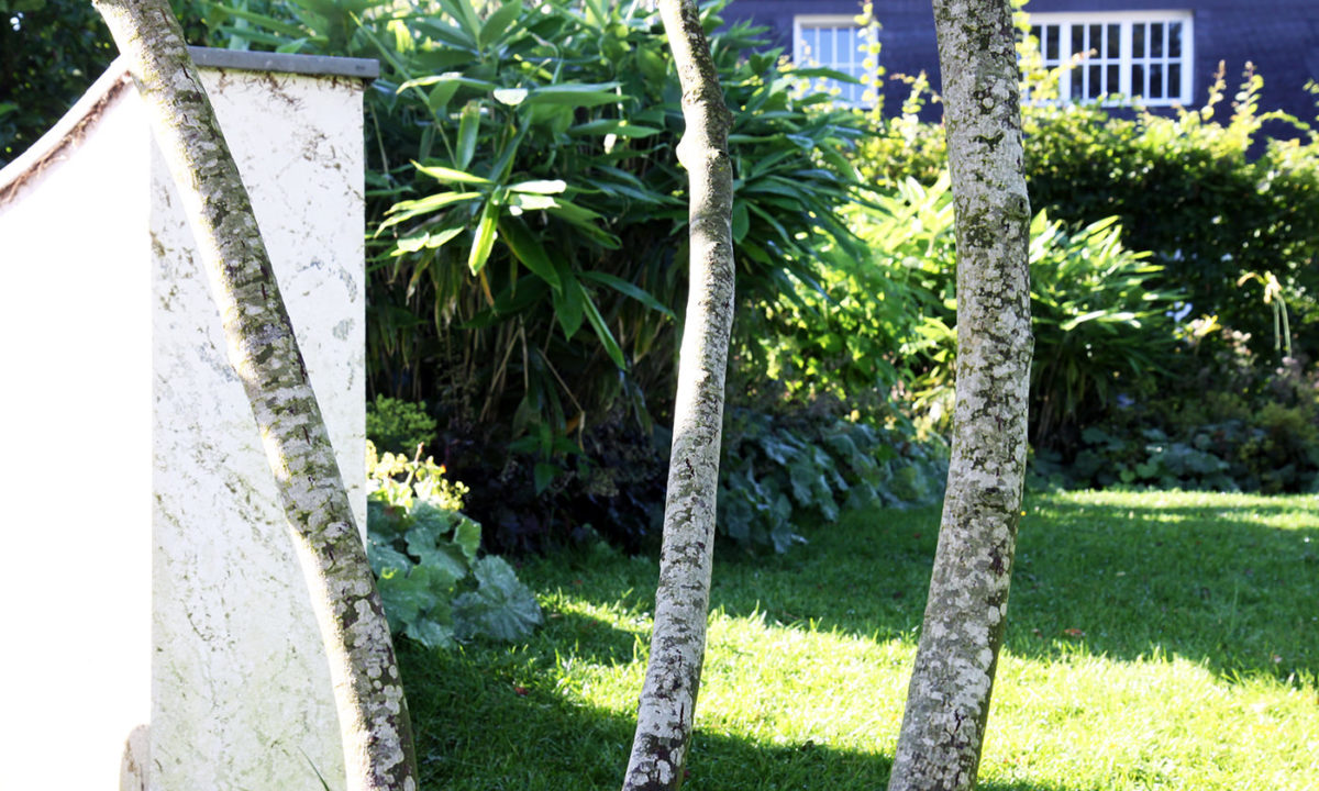 Gartengestaltung - Gartenerneuerung im Wiesbadener Komponistenviertel