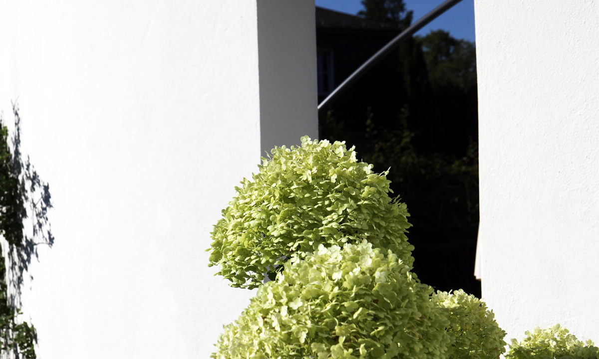 Gartengestaltung - Gartenerneuerung im Wiesbadener Komponistenviertel