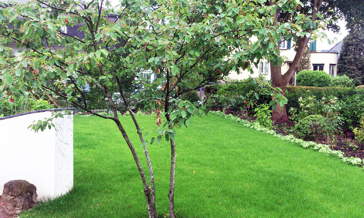 Gartengestaltung - Gartenerneuerung im Wiesbadener Komponistenviertel
