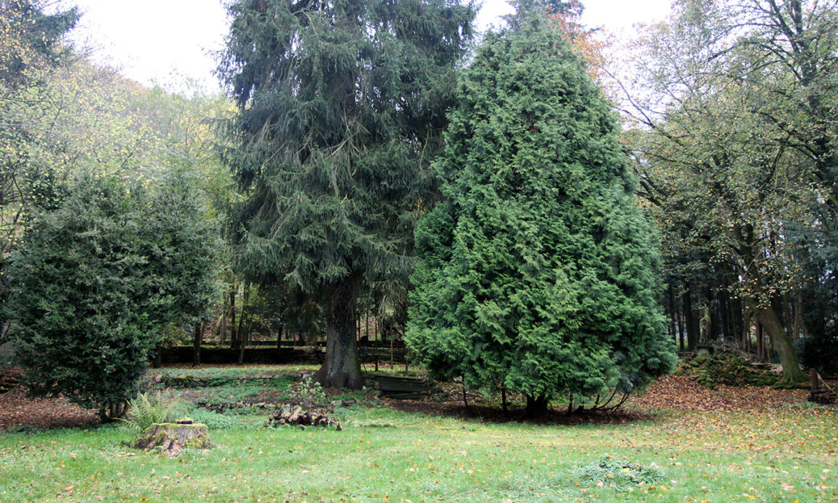 Gartendenkmalpflege - Gartenhistorische Untersuchung Parkanlage Eisenschmelz