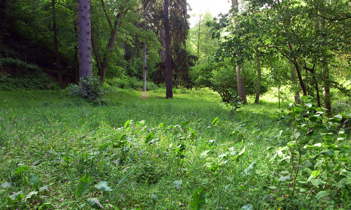 Gartendenkmalpflege Gartenhistorische Untersuchung Projekt Park Kloster Marienberg