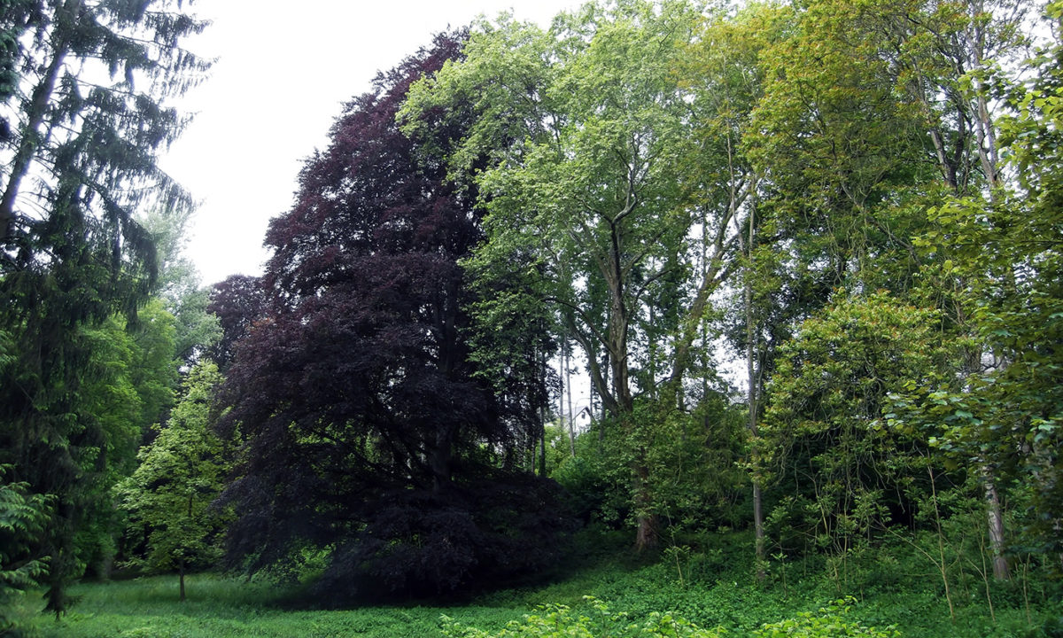 Gartendenkmalpflege Gartenhistorische Untersuchung Projekt Park Kloster Marienberg