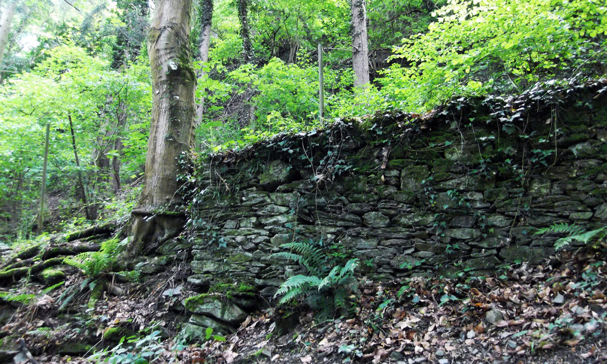 Gartendenkmalpflege Gartenhistorische Untersuchung Projekt Park Kloster Marienberg