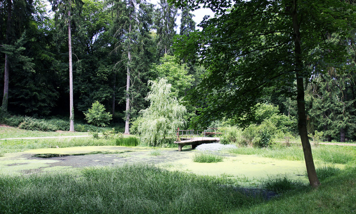 Gartendenkmalpflege Gartenhistorische Untersuchung Projekt Park Kloster Marienberg