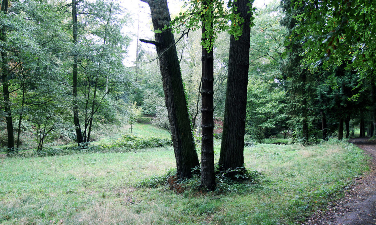 Gartendenkmalpflege Gartenhistorische Untersuchung Projekt Park Kloster Marienberg