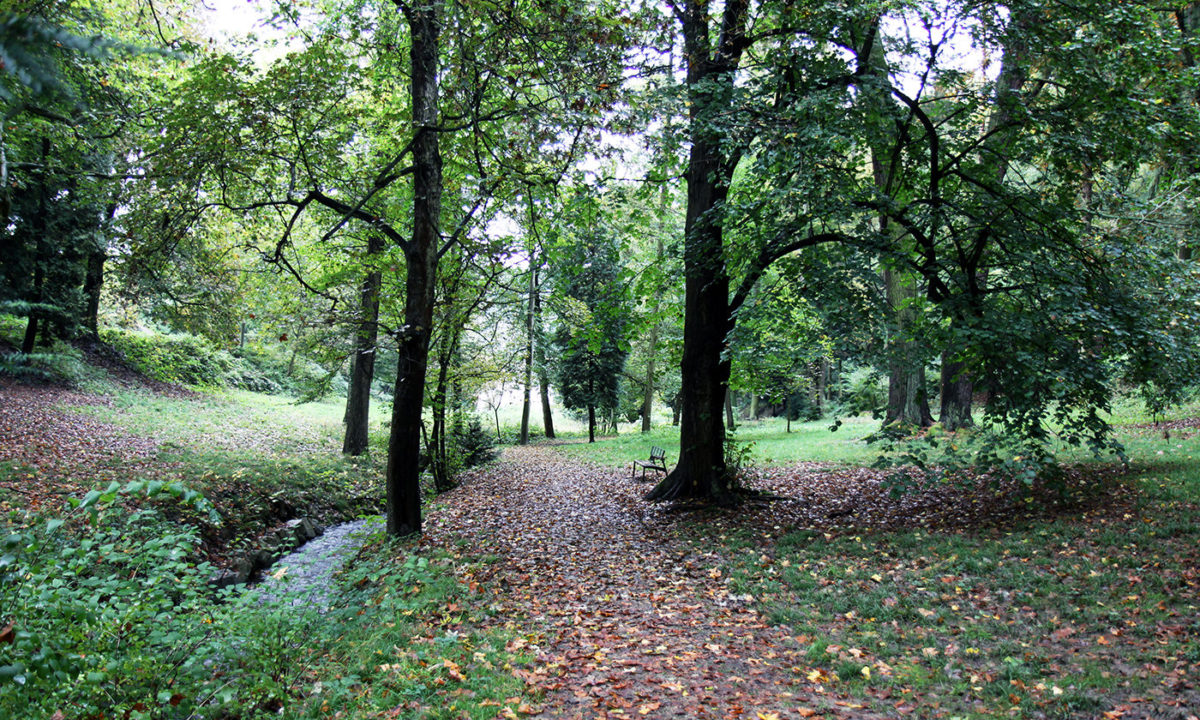 Gartendenkmalpflege Gartenhistorische Untersuchung Projekt Park Kloster Marienberg