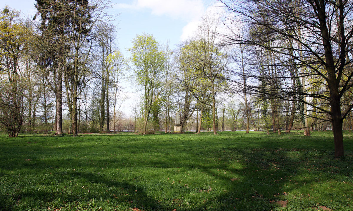 Gartendenkmalpflege - Beschreibung der historischen Entwicklung des Schlossparks Neuwied und Denkmalbewertung