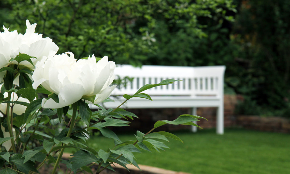 Gartengplanung - Umgestaltung eines Vorgartengrundstücks