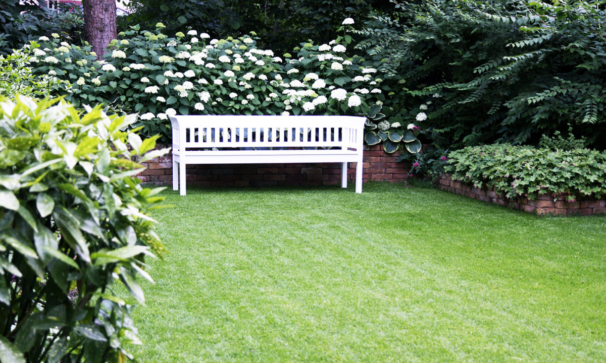 Gartengplanung - Umgestaltung eines Vorgartengrundstücks