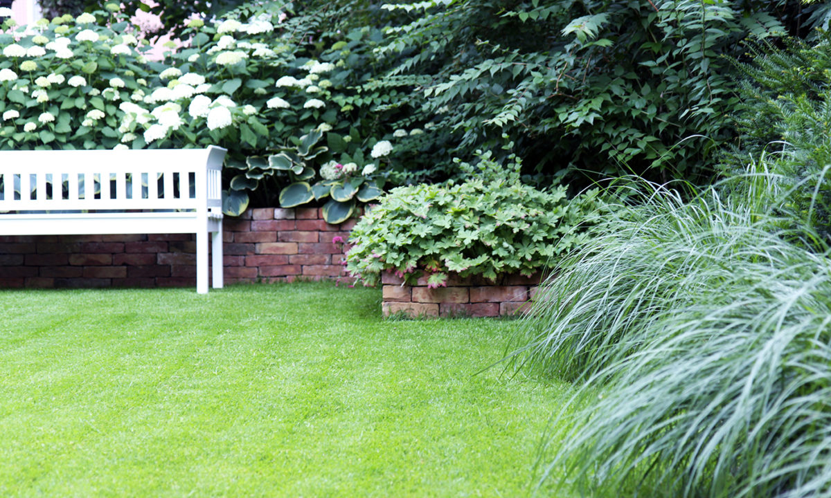 Gartengplanung - Umgestaltung eines Vorgartengrundstücks